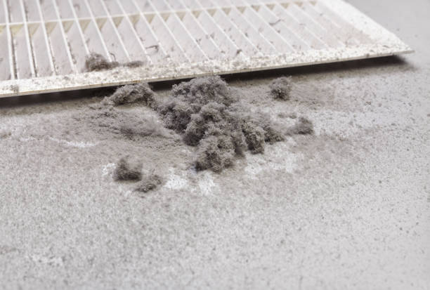 Best Air Duct Cleaning Company Near Me  in Auburn, IN