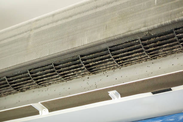 Best Air Duct Cleaning Near Me  in Auburn, IN